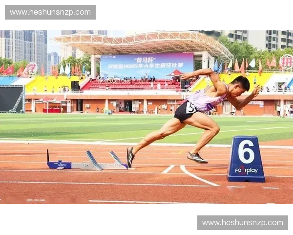 央视体育5聚焦体坛热点全面呈现精彩赛事与运动激情